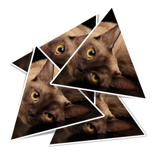 Triangle vinyl stickers - triangle,