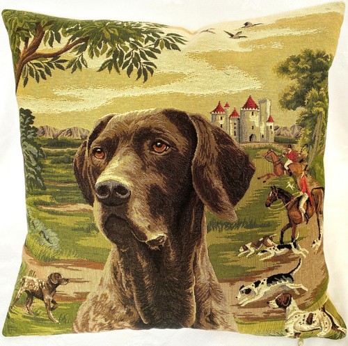 German shorthaired pointer - shorthaired,