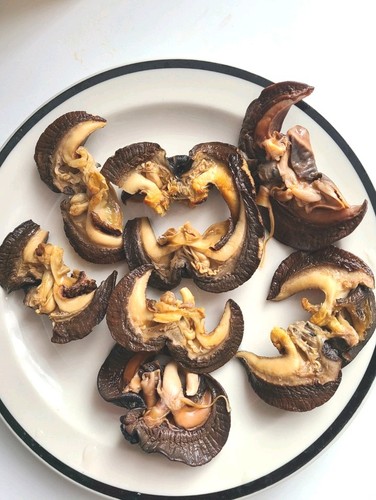 Dried snails medium - dried, snails,