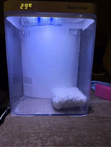 Aqua one mini aquarium 7l - aqua,