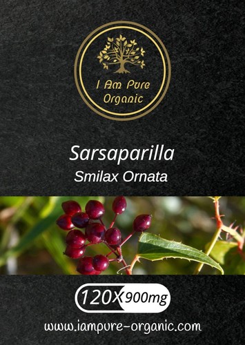 Sarsaparilla 120 x 950mg - |,