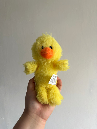 Asda chuck chicken - , duck
