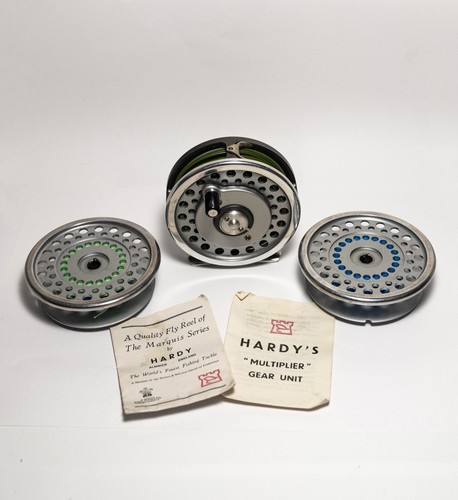 Rare hardy marquis - rare, 6