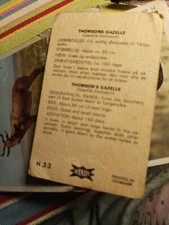 Pt2 Trade Card Dandy Gum Wild