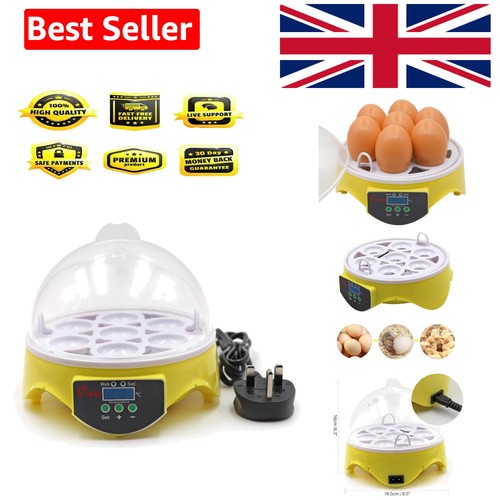 Eggs incubator poultry - eggs,