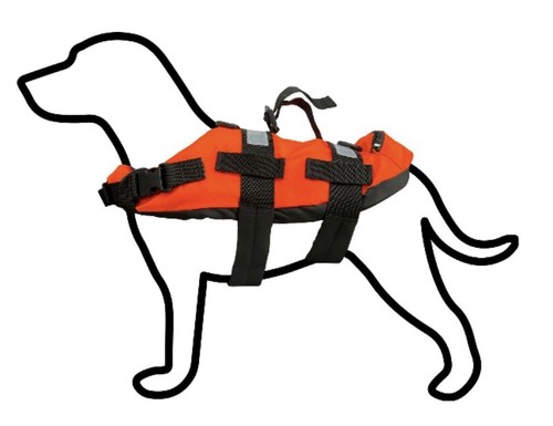 Twf pet dog life - dog,