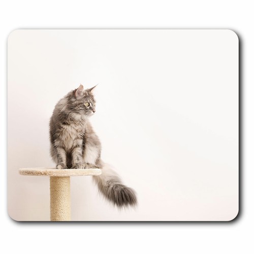 Computer mouse mat pretty - mat,