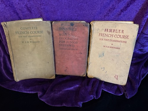Vintage school books - vintage,