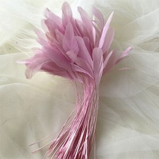 Stripped Coque Feather