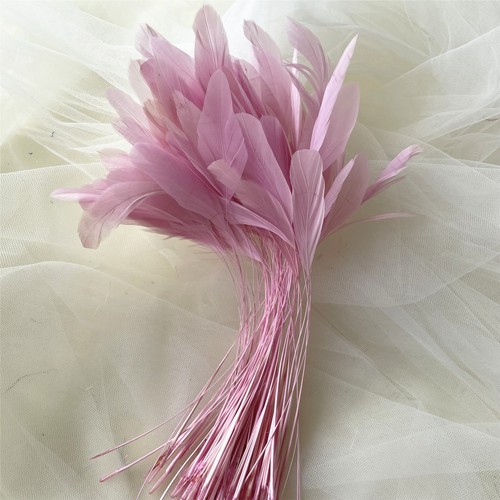Stripped coque feather - stripped,