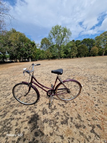 Raleigh cameo speed ladies - raleigh,