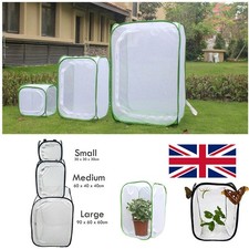 Pop Up Net Insect Cage - For