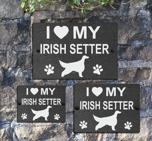 Love dog with - my,