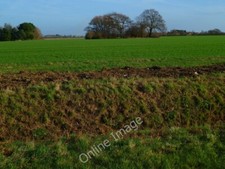 Photo 6x4 Field east of Park