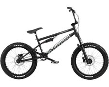 The Swamp Master black 20" BMX