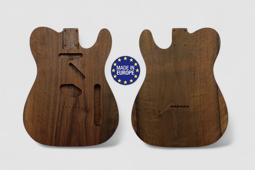Electric guitar body - guitar,