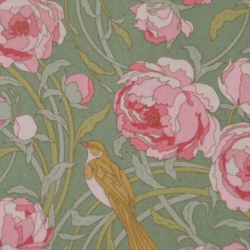Songbird cora sage - cora-, by