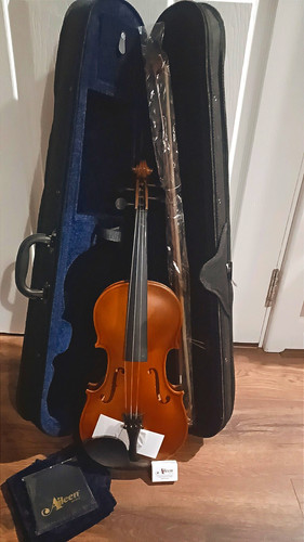 Aileen acoustic violin - aileen,