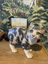 Winstanley Cat Size 5 Tabby