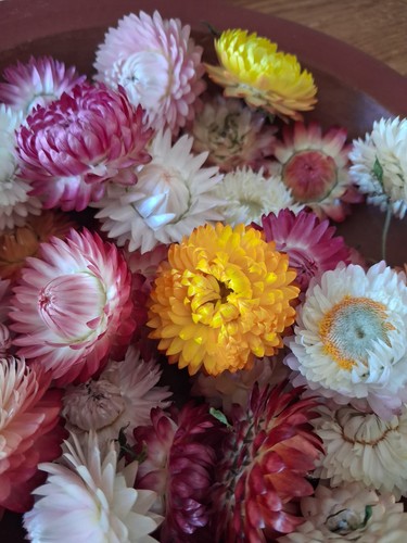 Dried flowers for - dried,