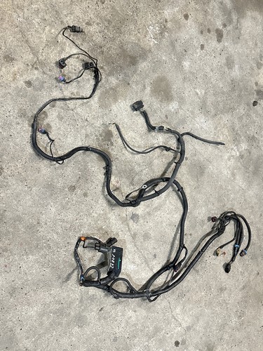 Wiring harness front - harness,