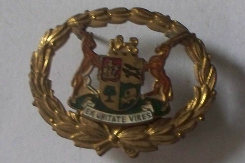 South african africa police - african,