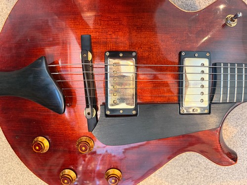 Eastman rey jazz - guitar,