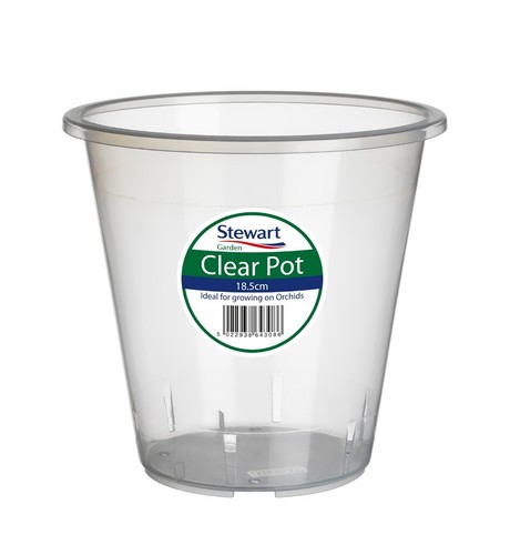 Stewart plant orchid - stewart,