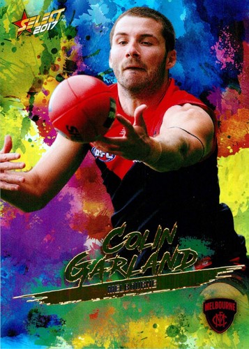 2017 melbourne demons afl - 2017,