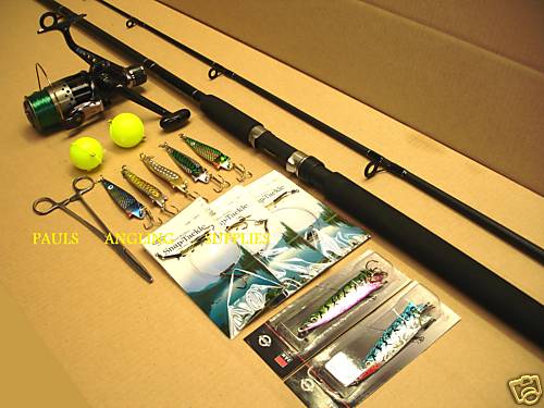 Pike fishing kit rod - fishing, reel