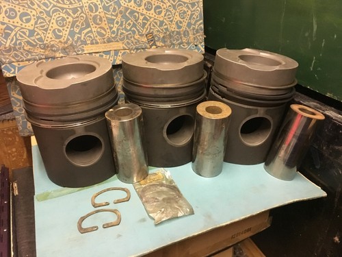 Leyland tl12 pistons - leyland,