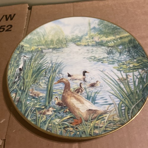Royal kendal the - -, waterfowl