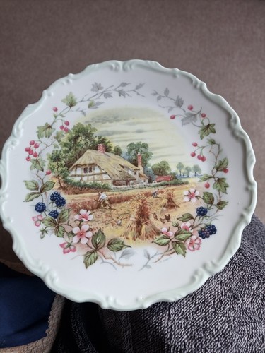 Vintage royal albert autumn - albert,