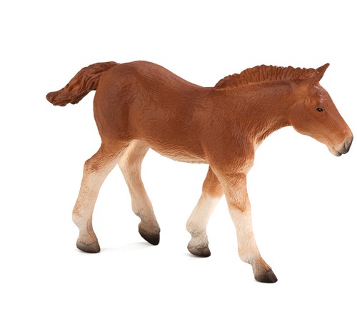 Animal planet suffolk punch - planet,