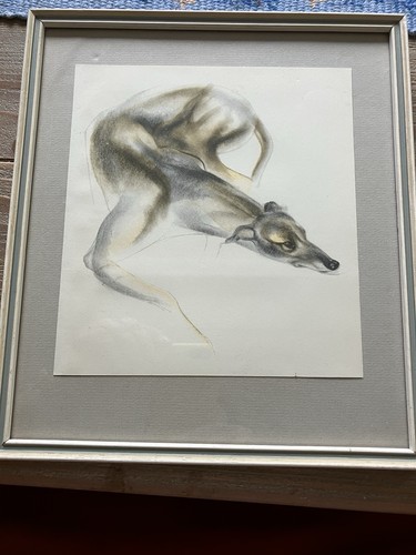 John skeaping 1950s greyhound - john,