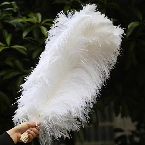 Large bulk ostrich - 1/2x,