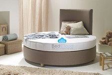 Koala 5FT (152cm) Children's