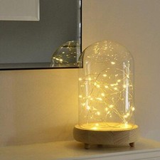 Glass Dome Bell Jar with LED