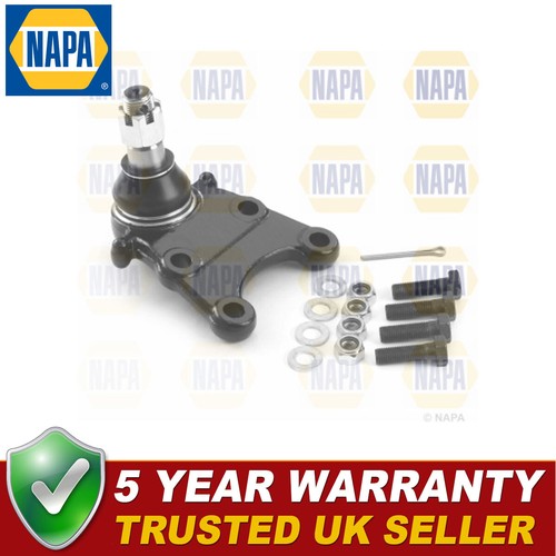 Napa front lower ball - front, joint