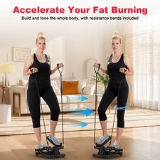 Mini Twist Stepper with