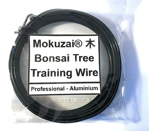 Bonsai tree training - tree,