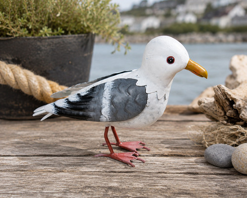Small metal seagull - metal,