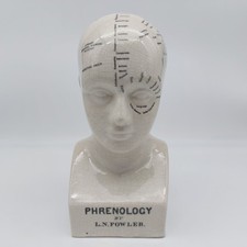 Phrenology Head L.N Fowler