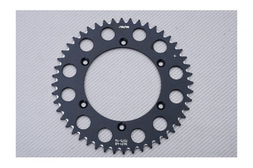 Ognibene trofeo rear - ognibene-trofeo,