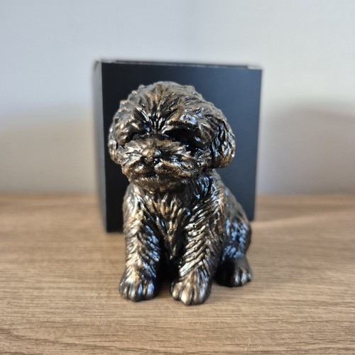 Teddy dog labradoodle style - dog,