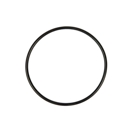 Bestway flowclear pump gasket - bestway,