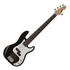 LA 5 String Bass Guitar by