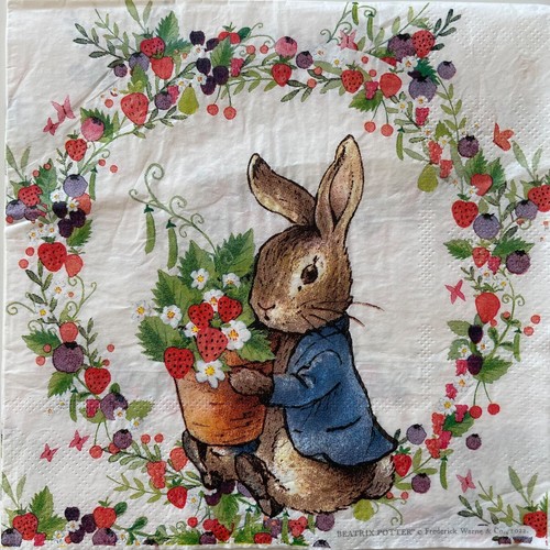 Luncheon paper napkins - 2,