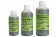 250ml Chlorella Green Water