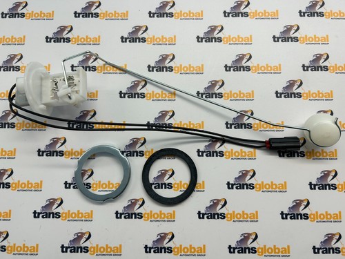 Fuel tank sender - fuel, seal